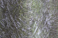 Tarrant Launceston fibreglass roof work