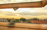 rated Tarrant Launceston roof window companies